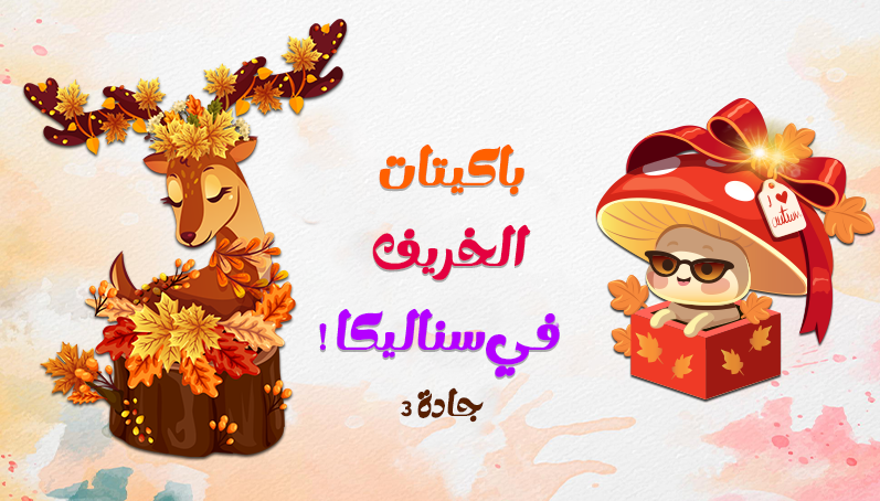 ! باكيتات الخريف متوفرة في سناليكا